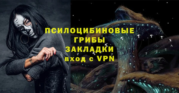 круглые Алексеевка