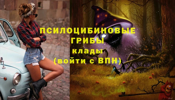 прущие крисы Алексин