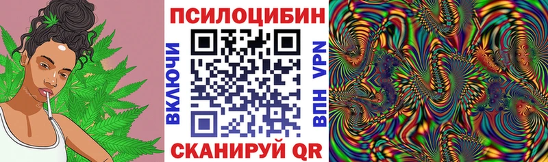 Псилоцибиновые грибы ЛСД Липки