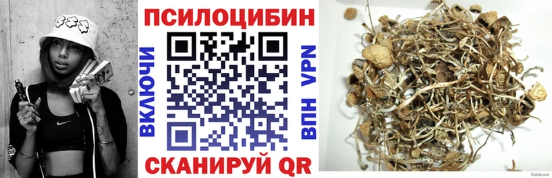 хочу   Липки  Псилоцибиновые грибы MAGIC MUSHROOMS 